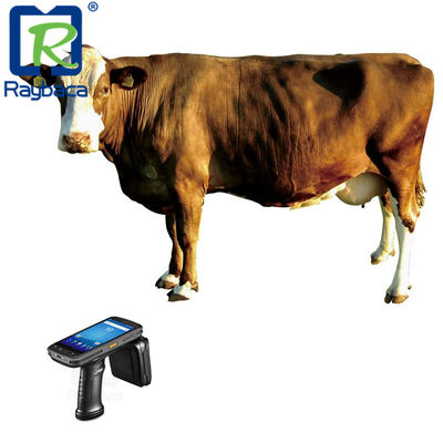 5.2 Inch LCD ABS UHF 860Mhz Mobile Rfid Reader Support Management System